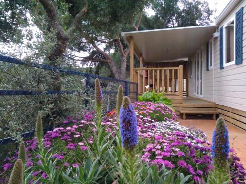Calella Other | Camping Roca Grossa