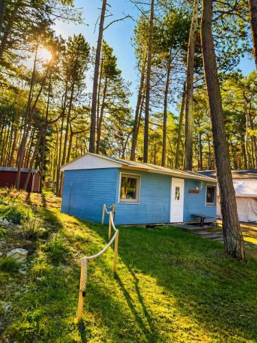 Bakenberg Resort | Camping Standard Bungalow Ferienwohnung auf Rügen - bis 5 Personen - nur 100m zum Naturstrand - mitten im Wald - Familien und Hunde herzlich willkommen - Feriensiedlung Schwalbennest