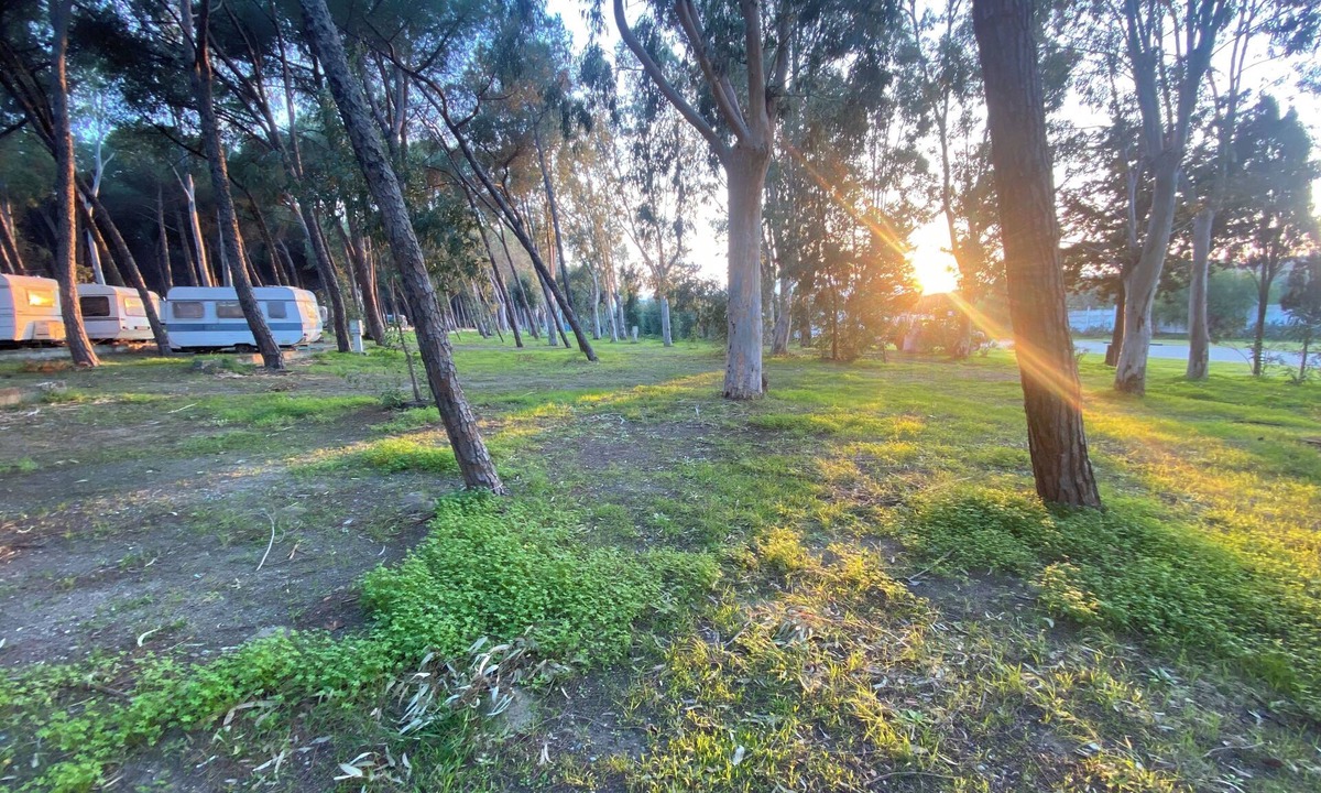 Roccelletta House | Camping surrounded by nature within walking distance from the sea