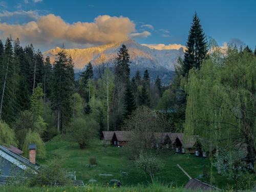 Durau Other | Camping Ursulet Durau