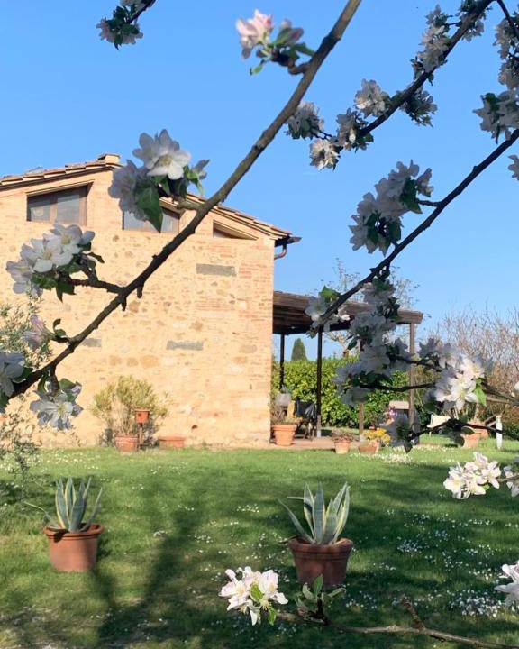 Siena House | Capannino
