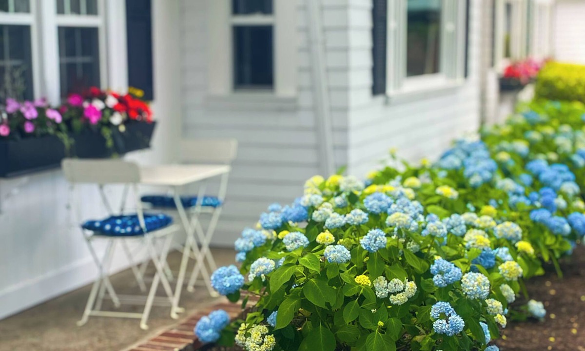 Bass River Hotel | Cape Cod Motor Inn