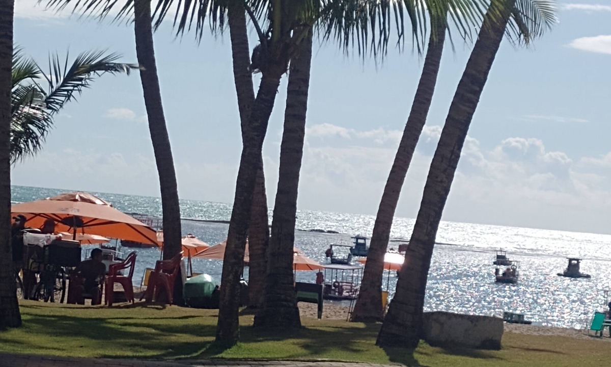 Maceio Hostel | CAPIM ROSA CHÁ