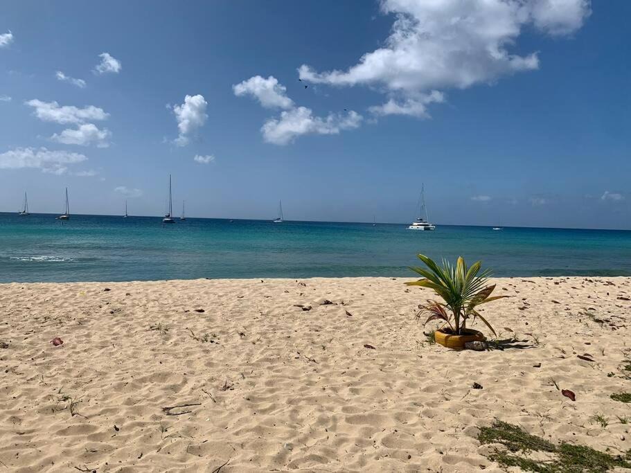 Frederiksted Southeast Apartment | Caribbean Gem ocean block in the center of town
