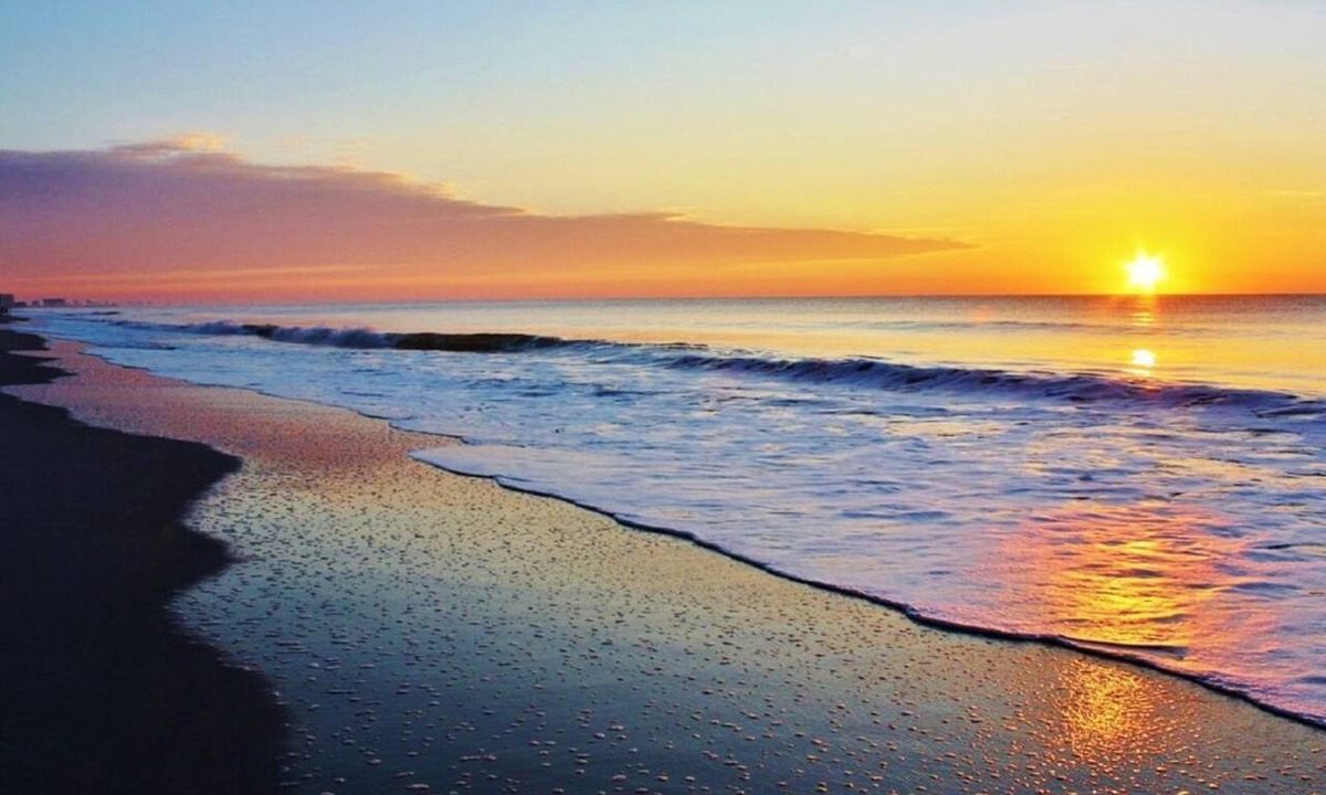 Myrtle Beach Condo | Caribbean Paradise-Romantic Oceanfront Canopy King Suite with Breathtaking Views
