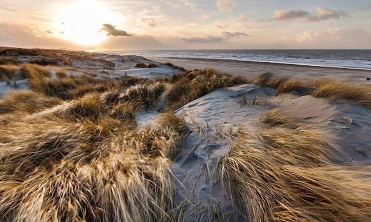 Scheveningen Hotel | Carlton Beach