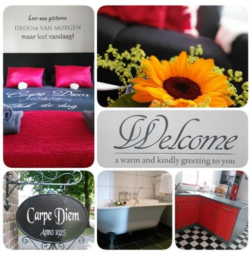 Ommen House | Carpe Diem