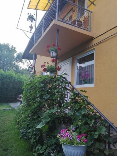 Sovata House | Casă de oaspeți ORSO