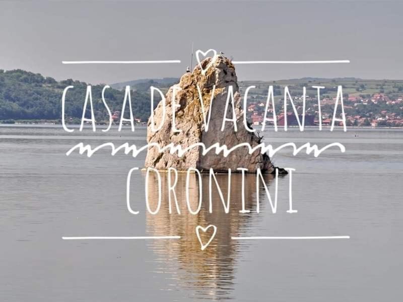 Coronini Apartment | Casă de vacanță Danube