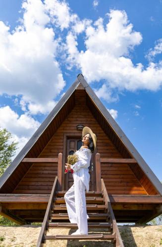 Caransebes Cabin | Casa Șoimului - A-Frame