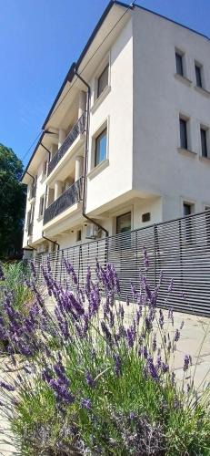 Eforie Sud House | Casa 1A