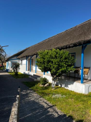 Sfantu Gheorghe House | Casa 9