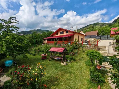 Nehoiu House | Casa Alina