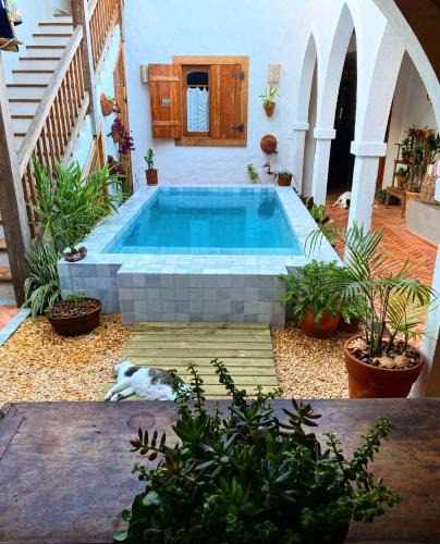 Historic Center House | Casa Amada