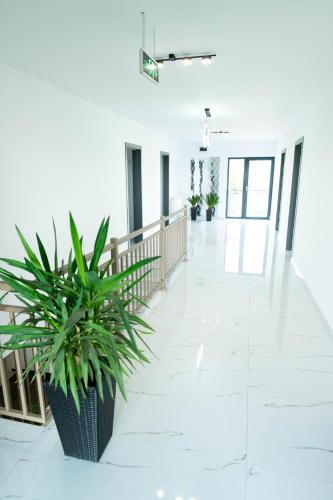 Tasnad Hotel | Casa Amza Blaja