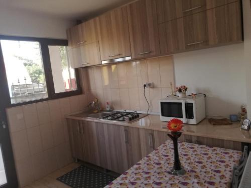 Eforie Sud Apartment | Casa Ana