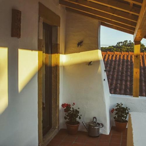 Ourem House | CASA ANDORINHAS