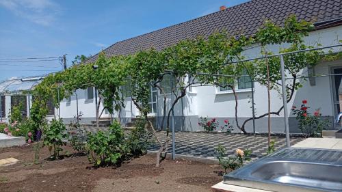 Jurilovca House | Casa Angy