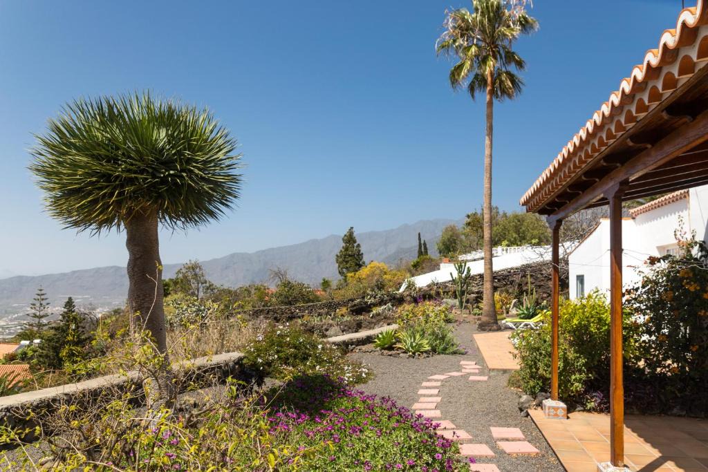 Tajuya House | Casa Arándano
