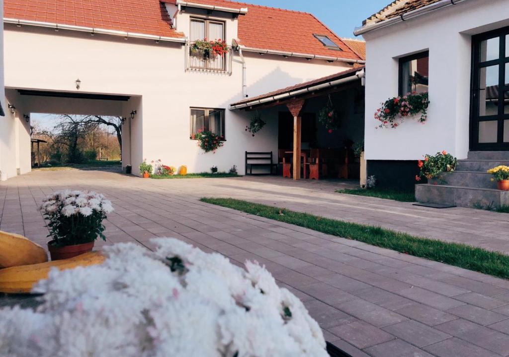 Salasu de Jos House | Casa Badea