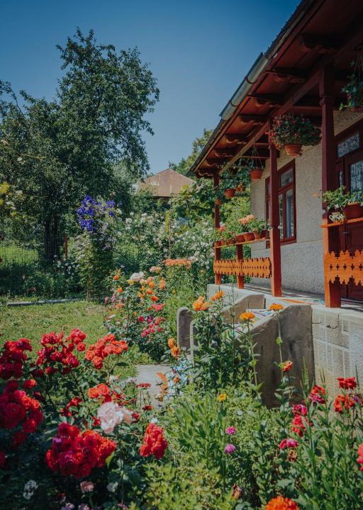 Scorteni Cabin | Casa Bajora