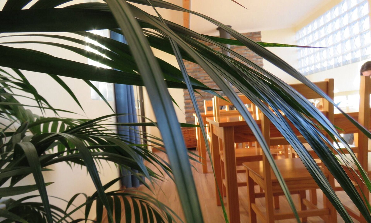 Ferrel House | Casa Belos Ares