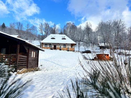 Viseu de Sus House | Casa Berg