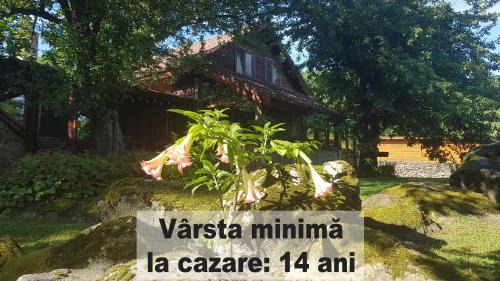 Simbata de Sus House | Casa Bunicului
