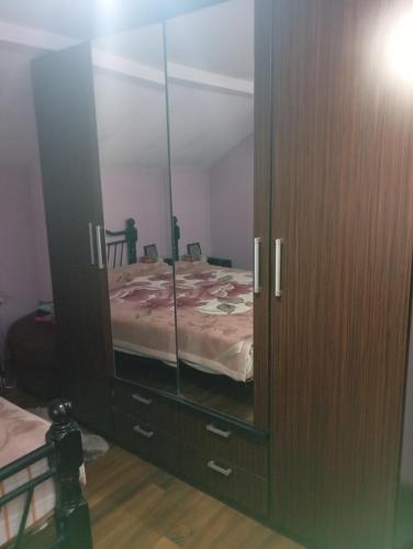 Craiova House | Casa Camelia