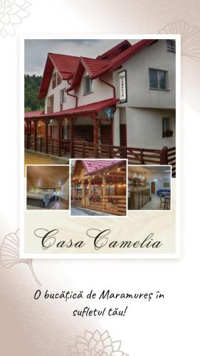 Sacel Hotel | Casa Camelia