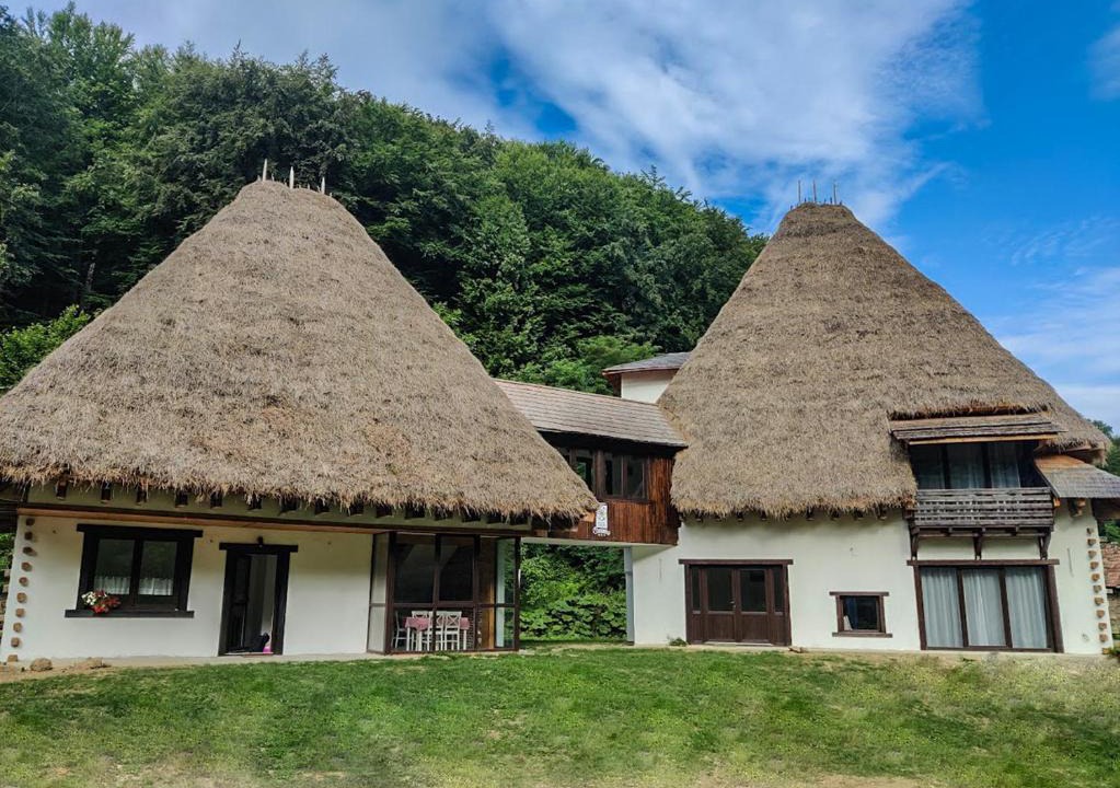 Cristolt House | Casa Catrinei