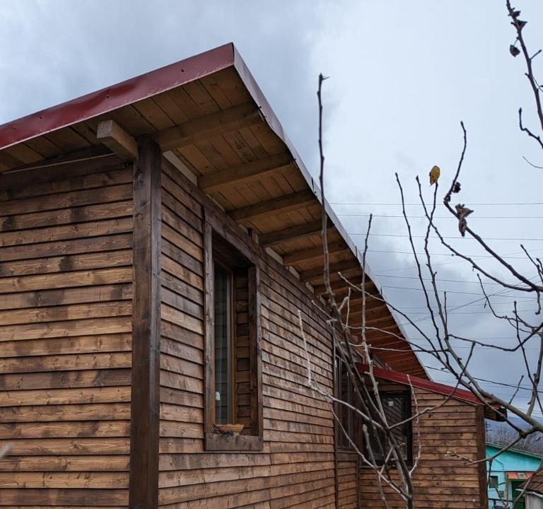 Lupeni House | Casa CeDar