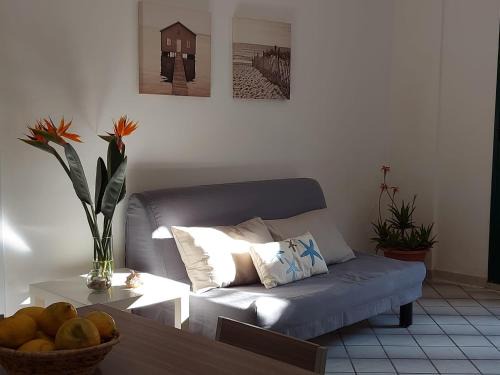 Caucana-finaiti-casuzze-finaiti Nord Apartment | Casa Ciclamini