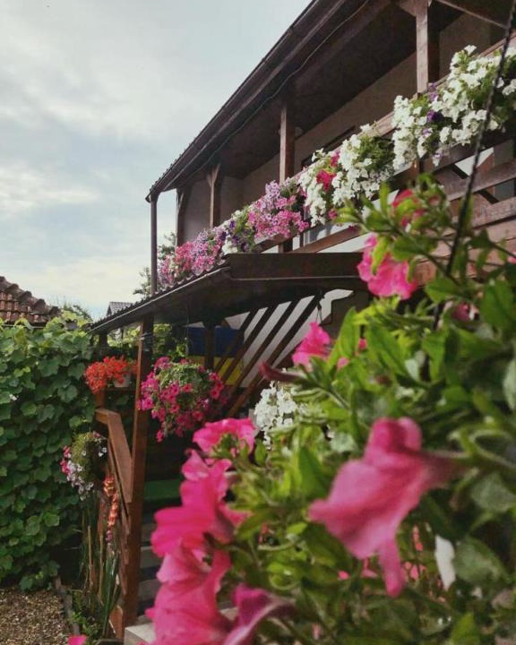 Beclean House | Casa Cristina