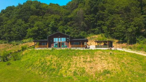 Gura Vitioarei Cabin | Casa cu Pădure