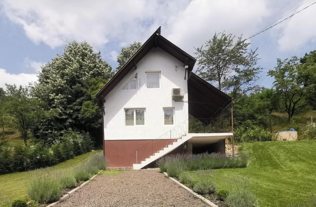 Seini House | Casa cu veverițe