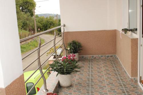 Resita House | Casa Dănuț