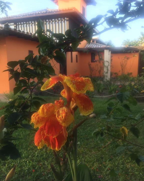Bosque de Geriba House | Casa da Árvore