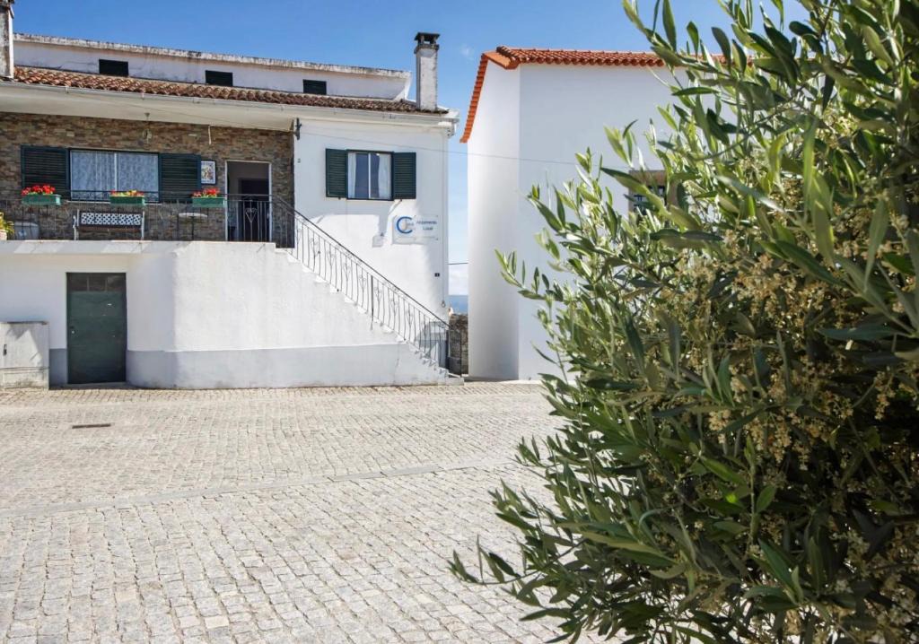 Provesende House | Casa Da Jesus