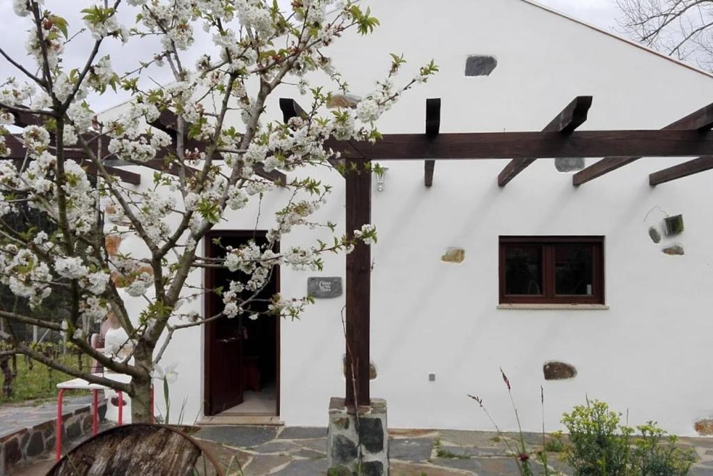 Figueira de Lorvao House | Casa da Tileira
