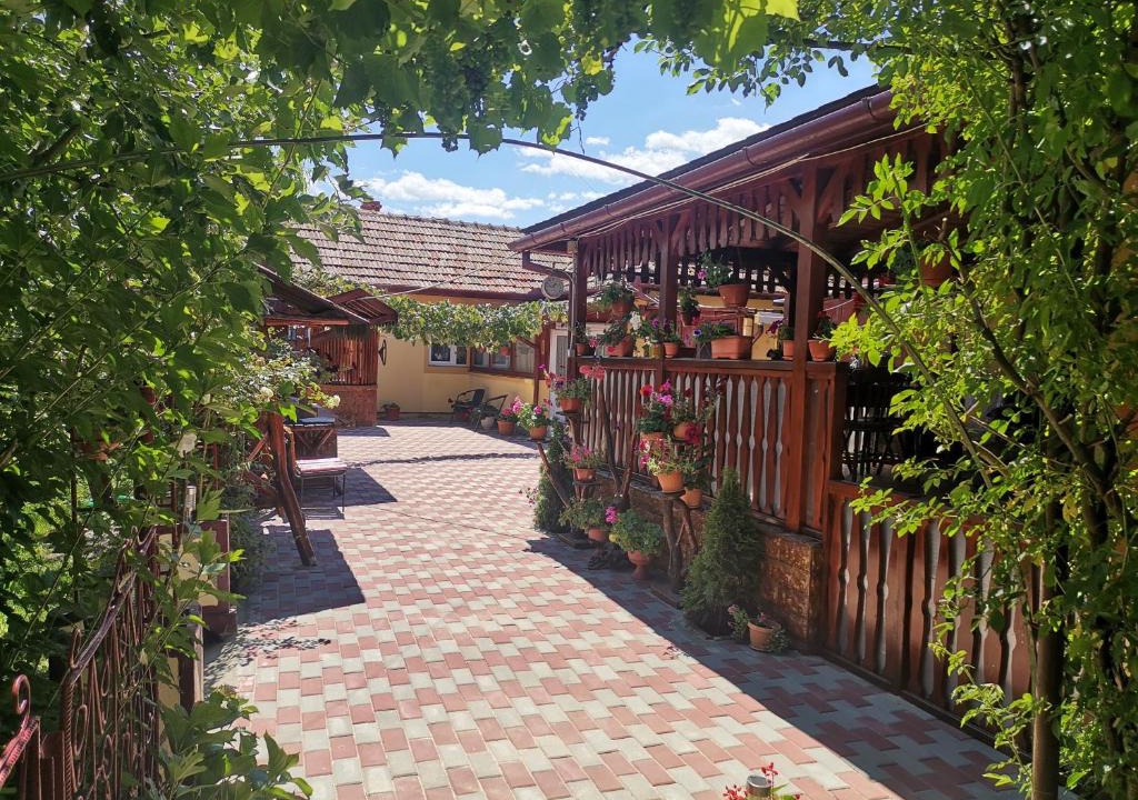 Hateg House | Casa Dana