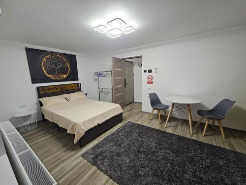 Alexandria Apartment | Casa Darius