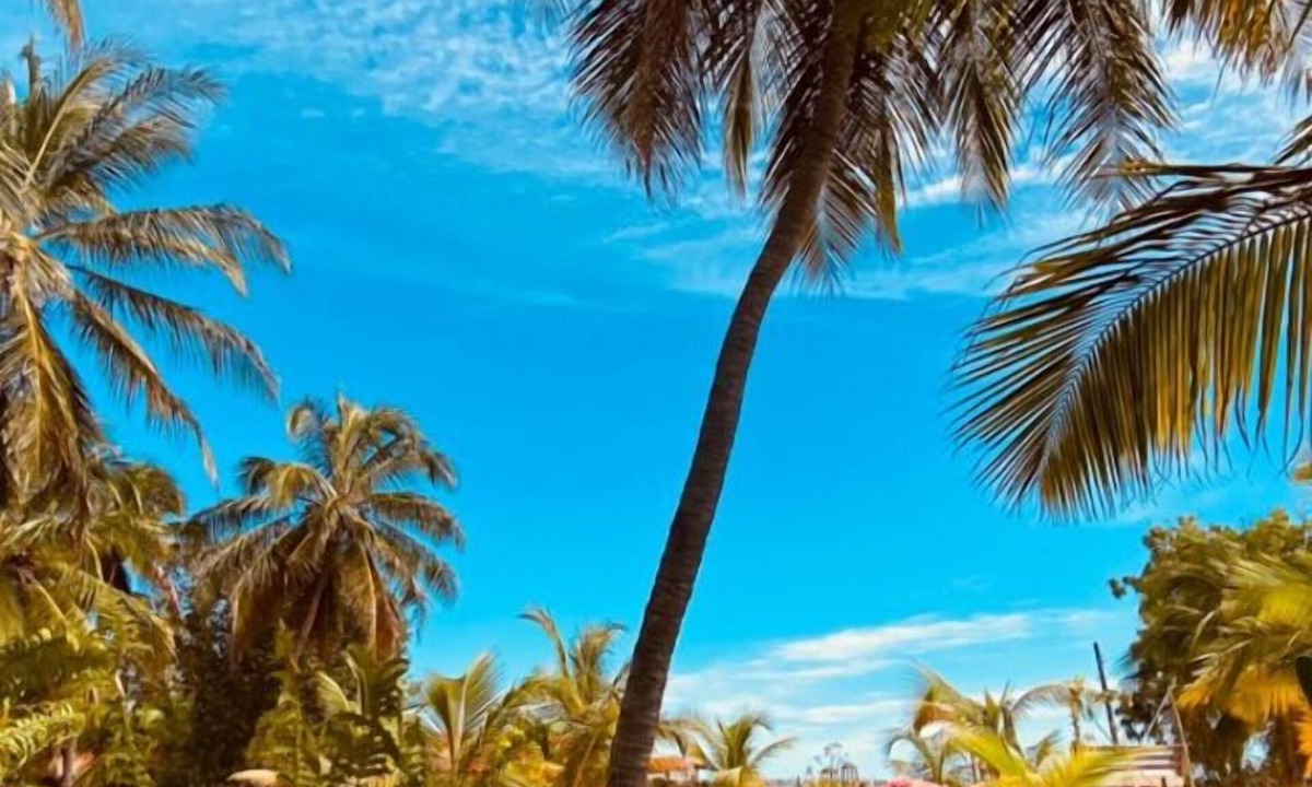 Moitas Hotel | Casa das Rendas Exclusive Bungalows