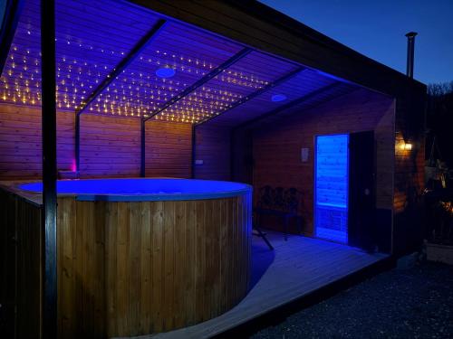 Curatele House | Casa David 13D