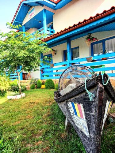 Murighiol House | Casa David