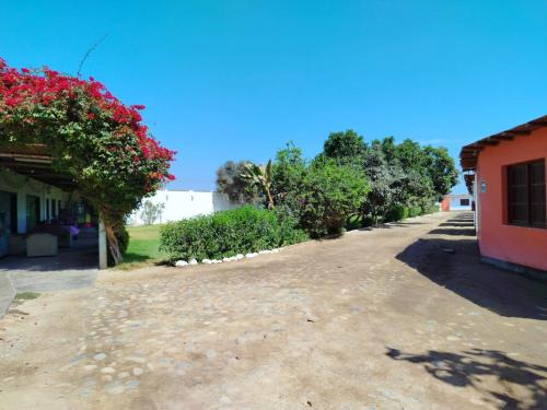Sunampe Hotel | Casa de la Bodega