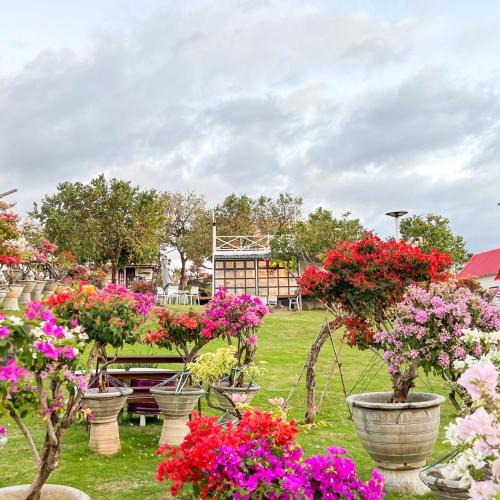 Palayan City Cabin | Casa de Myra
