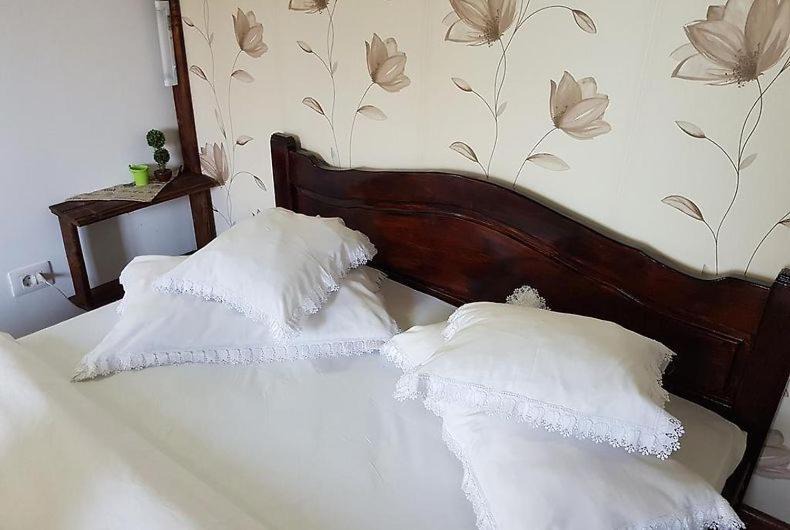 Albestii Paminteni House | Casa de vacanța Valea Argesului
