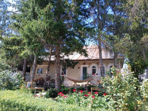 Valcea House | Casa de Vacanta Nora