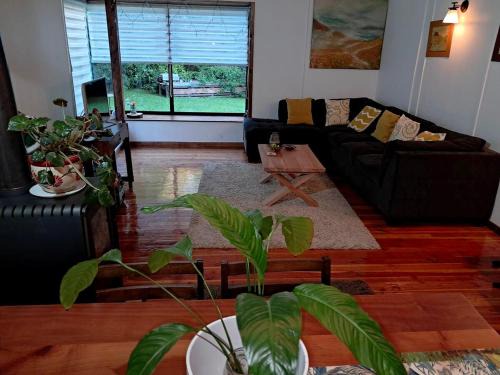 Valdivia House | Casa de Verano